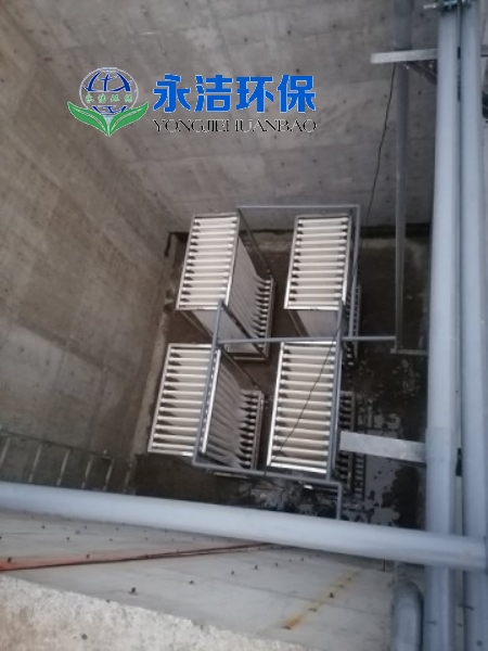 &#20048;&#40060;