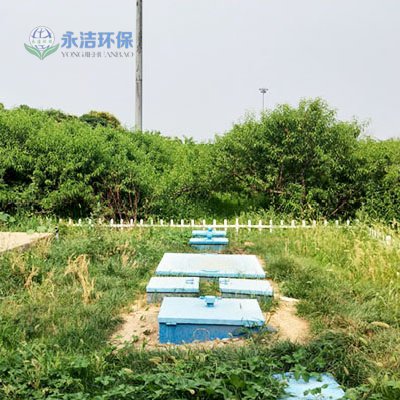 &#20048;&#40060;