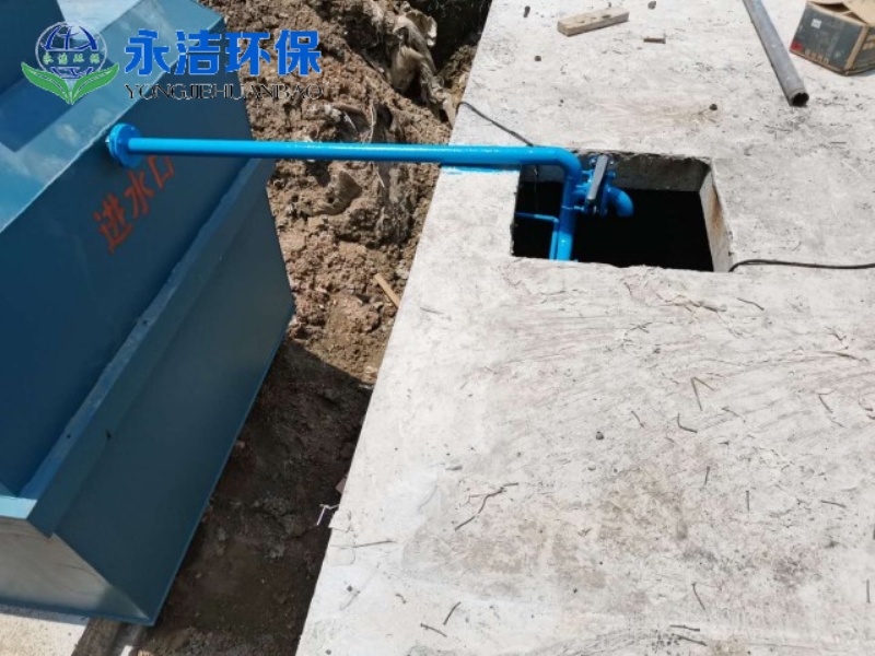&#20048;&#40060;