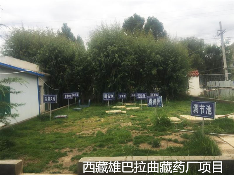 &#20048;&#40060;